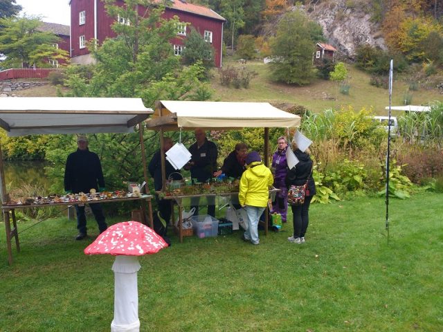 Svamputställning på Brunstorp 28 september, fruktens dag